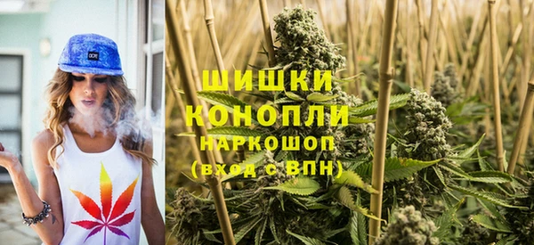 мяу мяу мука Аркадак