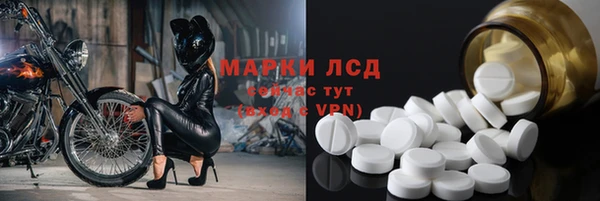 мяу мяу мука Аркадак