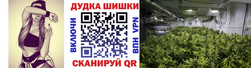Бошки марихуана White Widow  Суворов 